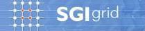 Logotype of the section