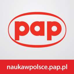 Popularyzator Nauki 2013